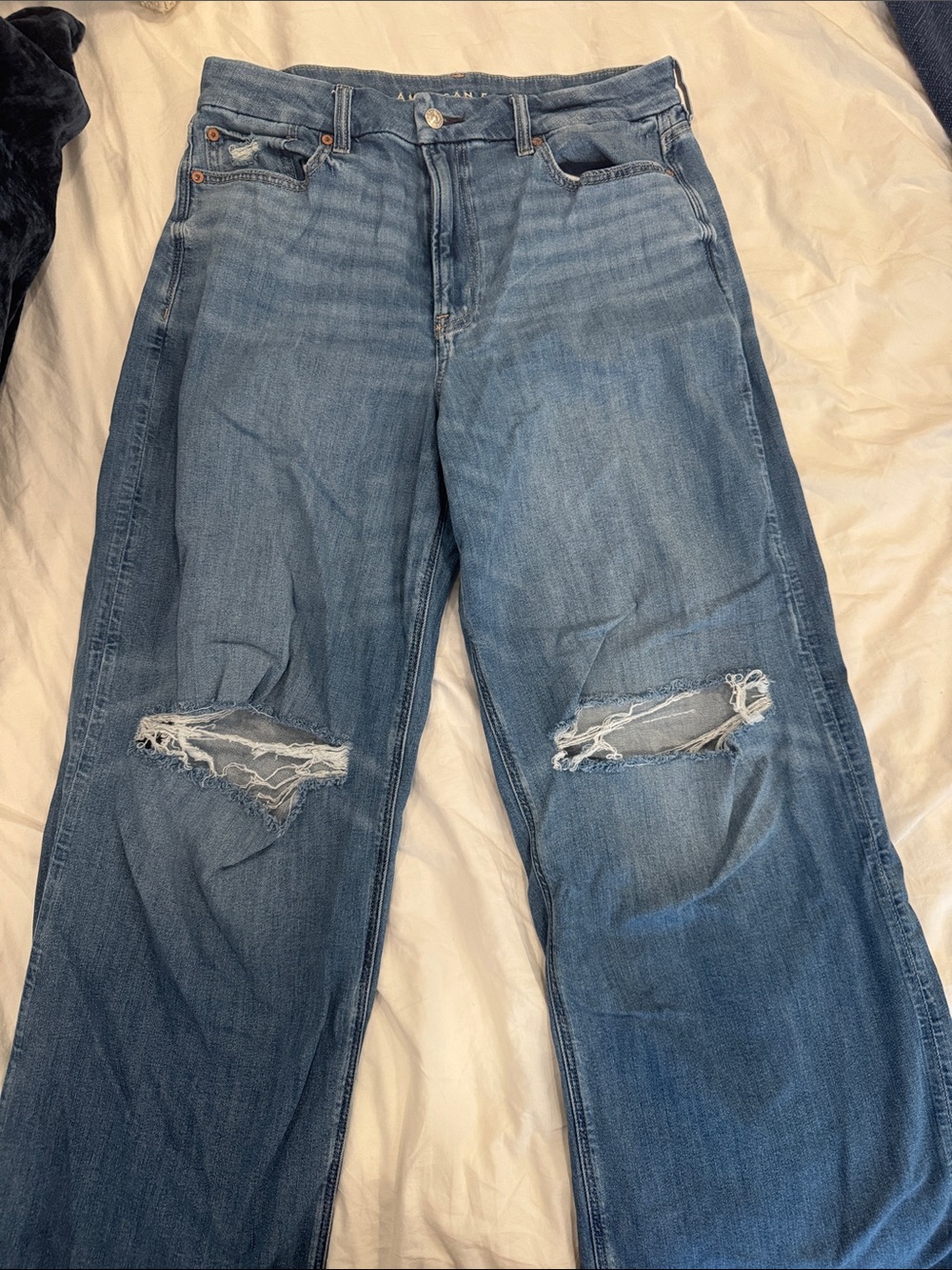 American Eagle Outfitters Light Blue Distressed Boyfriend Jeans